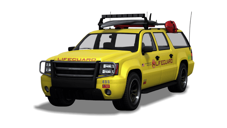 Declasse Lifeguard